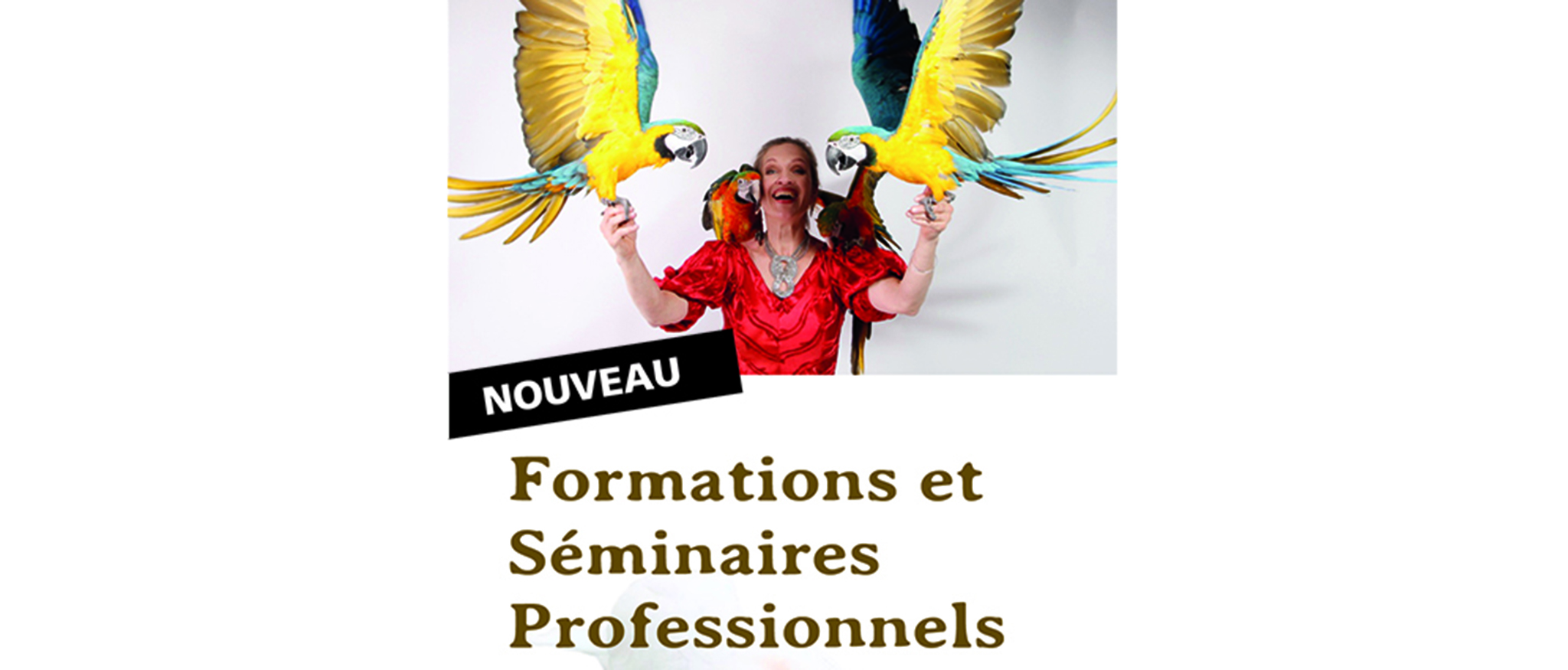 Nouvelles offres de formations 2021 Nouvelles offres de formations 2021